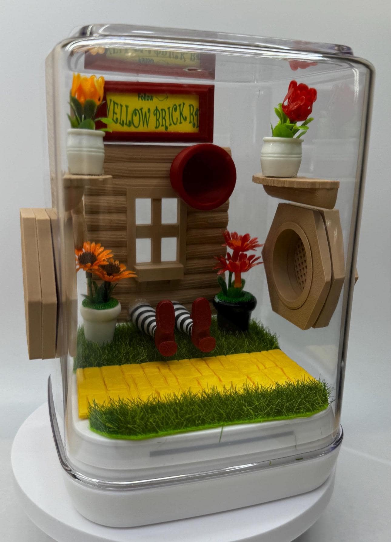 Jumping Spider Enclosure - Wizard themed | Handmade Spider Habitat |  Unique Pet Home