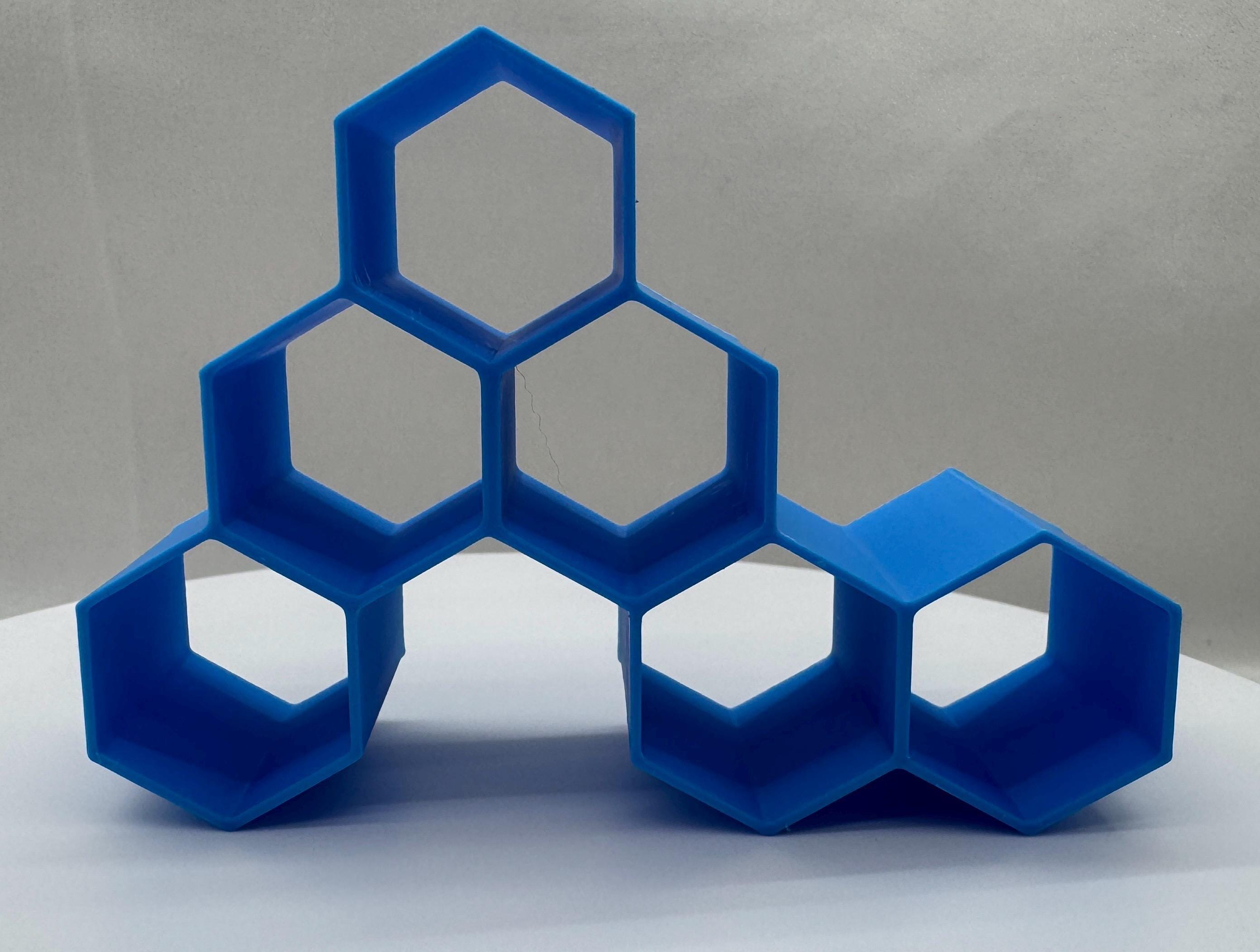 Honeycomb Hide for Jumping Spider