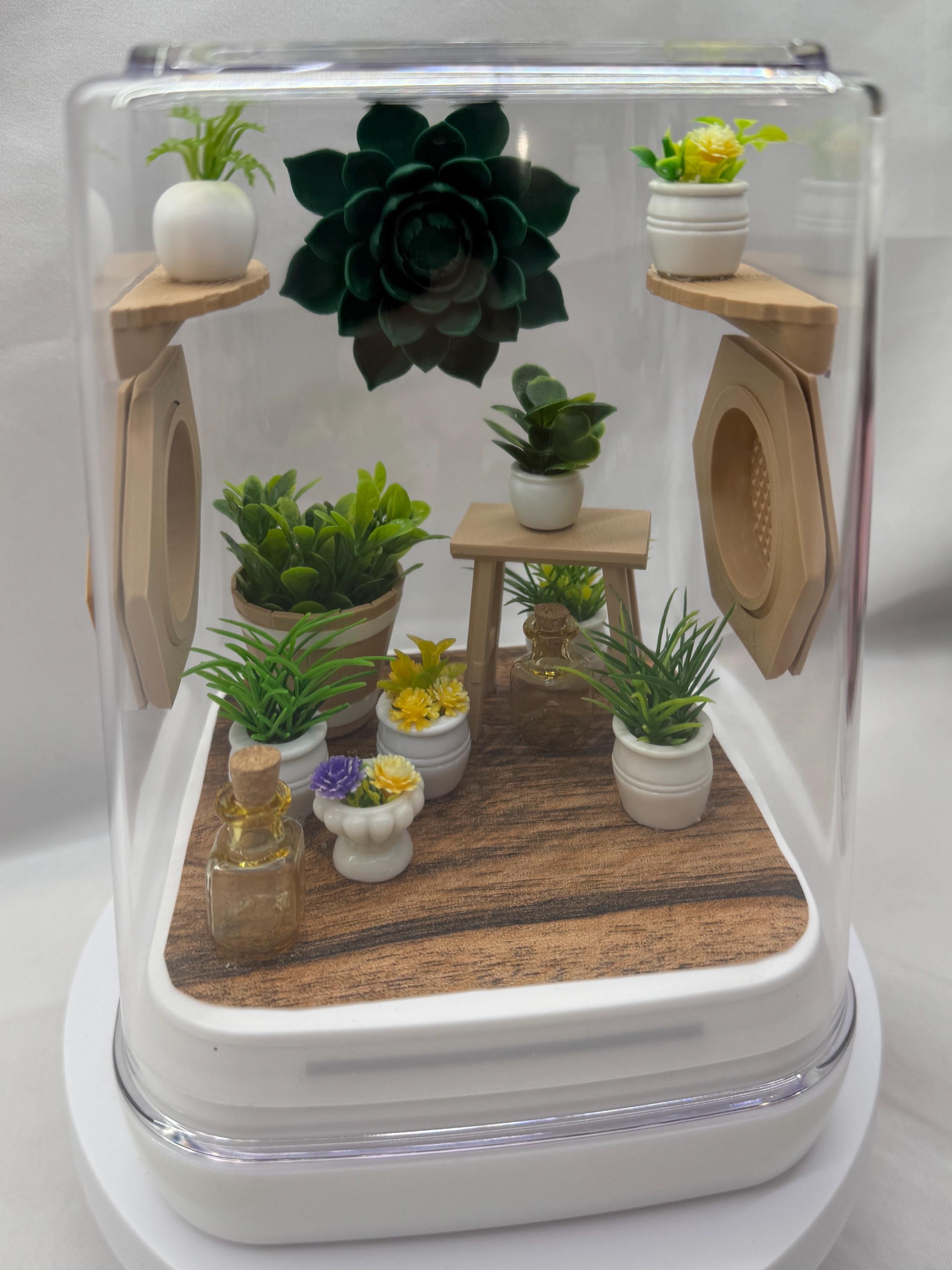 Sun Room Jumping Spider Enclosure - Custom Terrarium for Jumpers & Arachnids