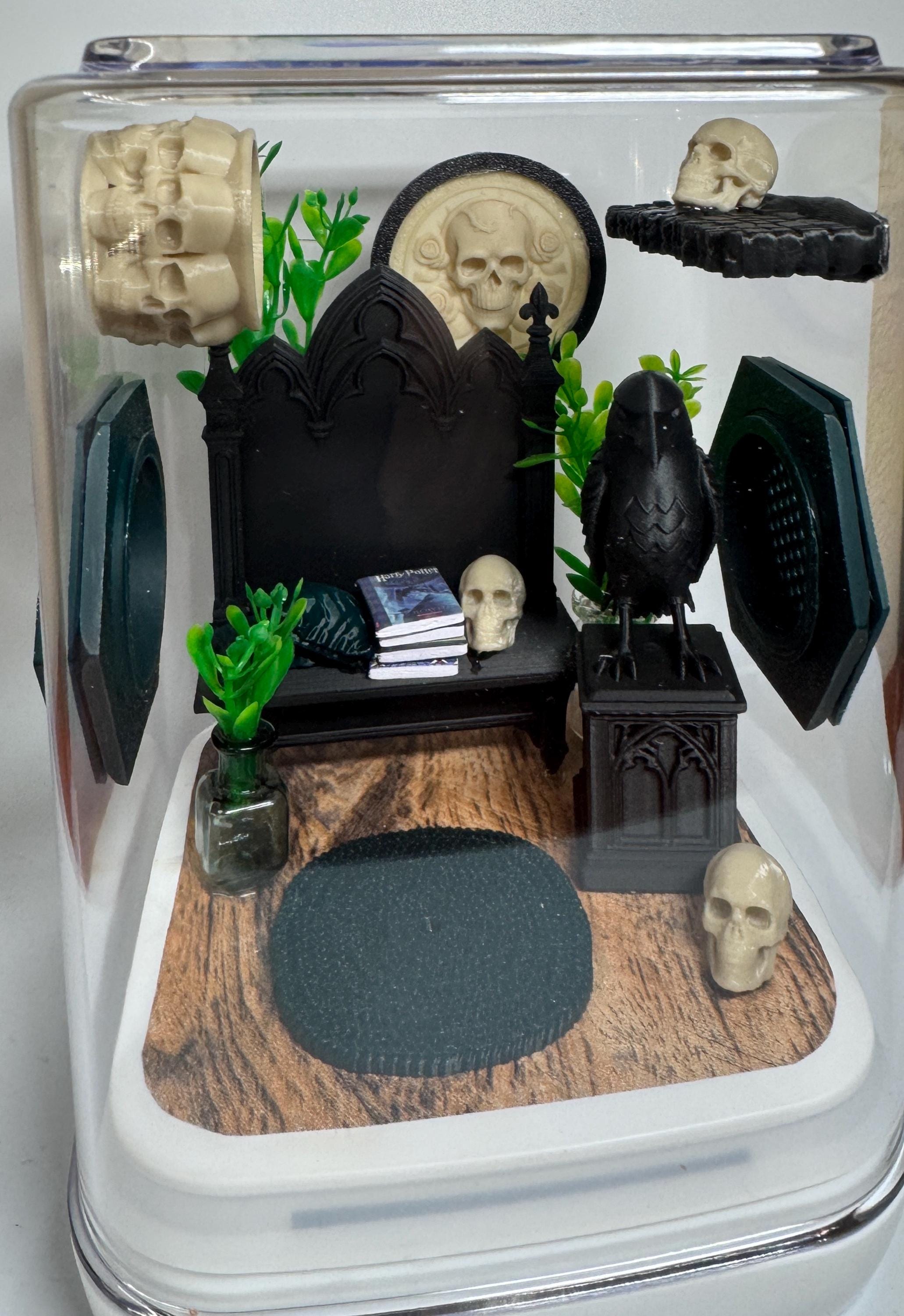 Gothic Jumping Spider Enclosure: Custom Arachnid Terrarium
