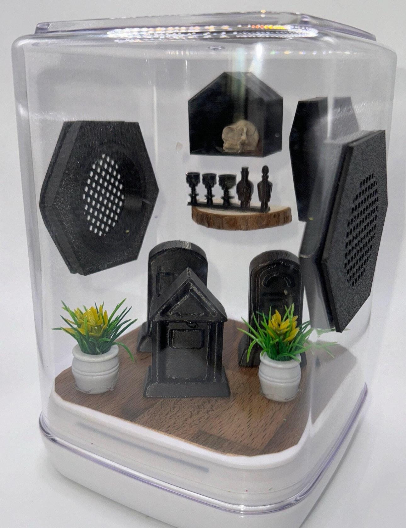 Accessory Pack for Jumping Spiders -  Terrarium Decor Set -  Spider Habitat Supplies - Graveyard