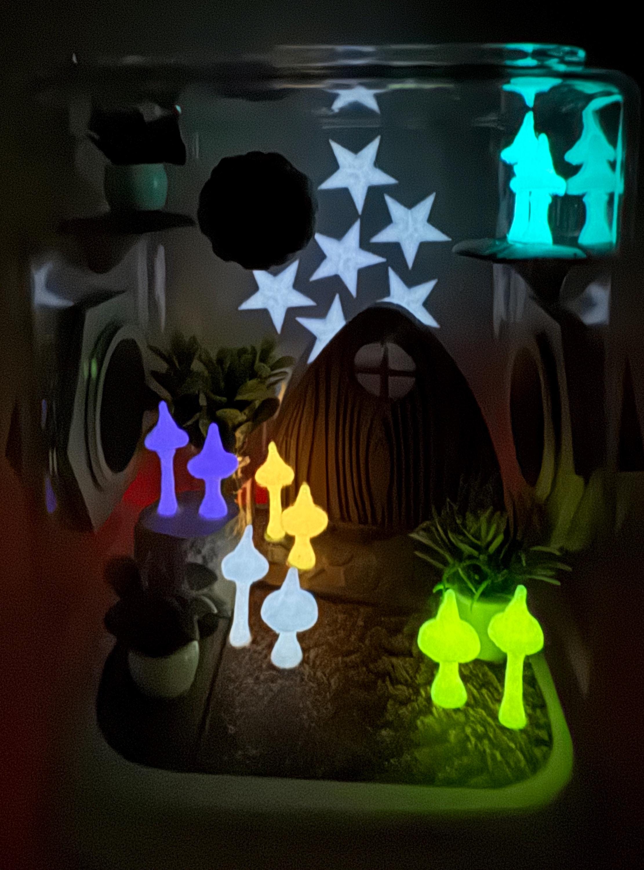 Glow Mushroom madness jumping spider enclosure,terrarium, acrylic, pet houses