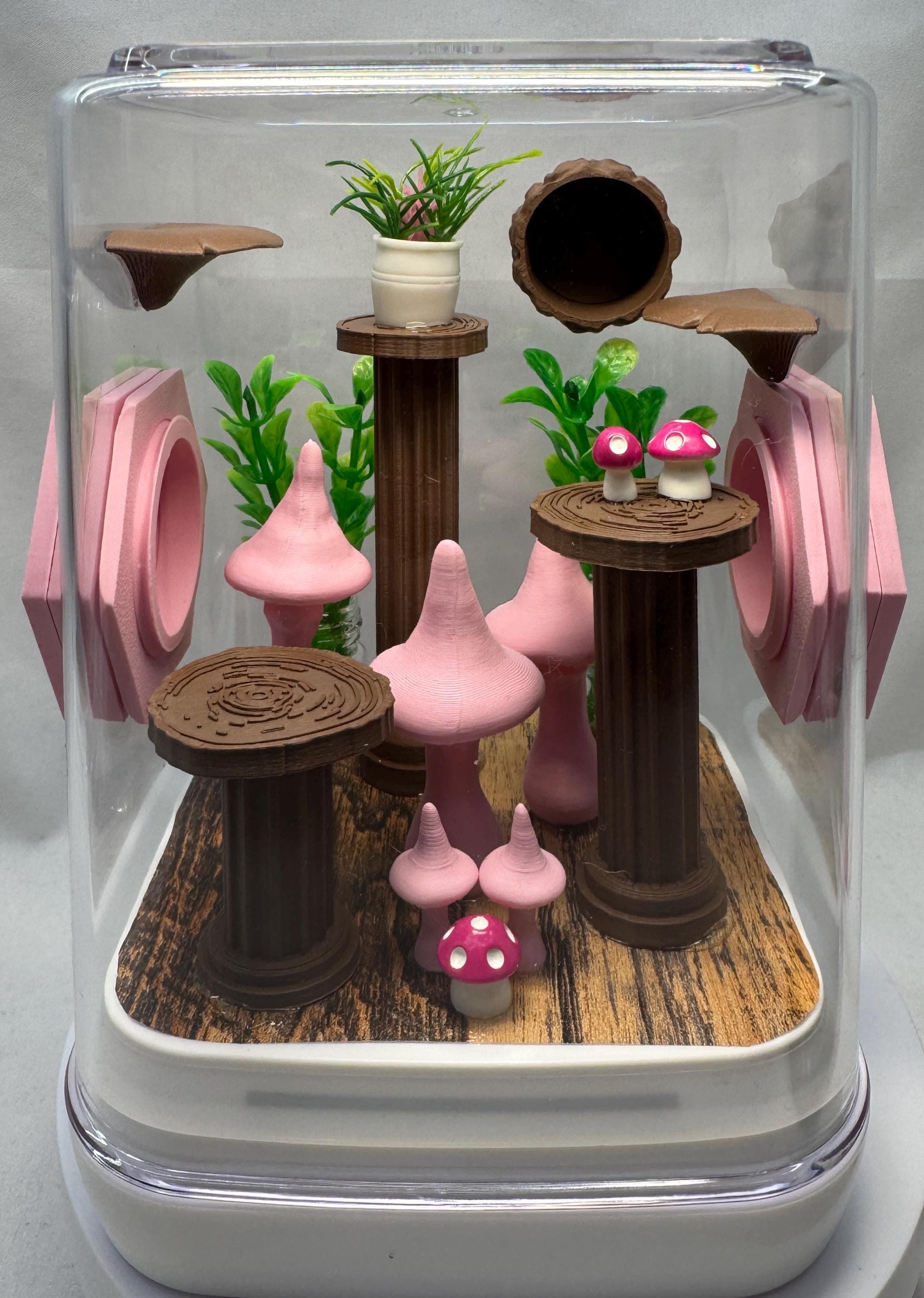 Decorated Jumping Spider Enclosure: Pink Mushroom Terrarium