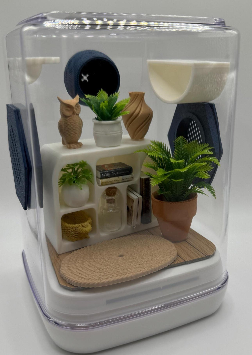 Accessory Pack for The Owl Retreat jumping spider enclosure