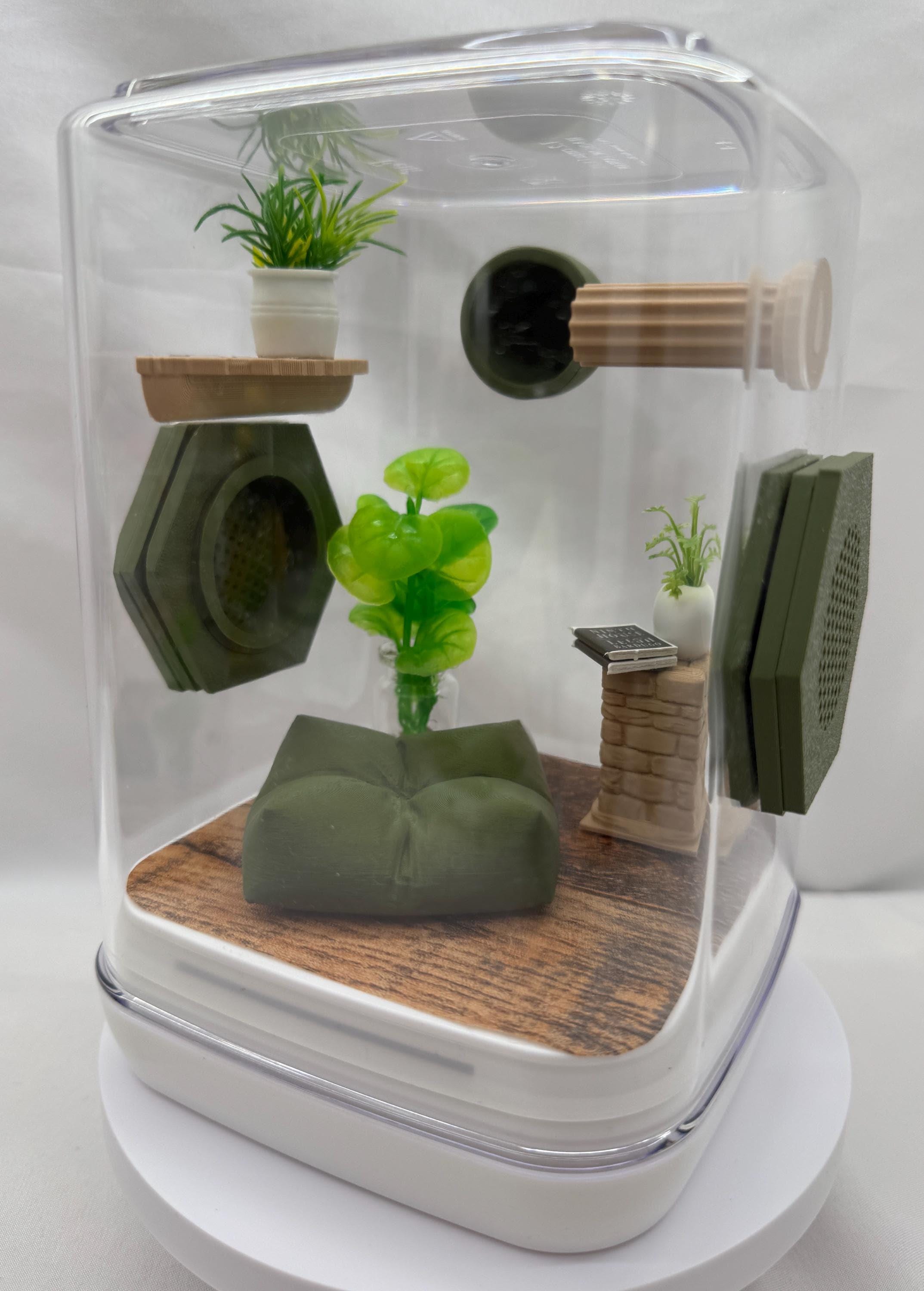 Accessory Pack for Jumping spiders,  enclosure decorations, Olive Nook